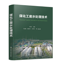 計算機軟件技術開發(fā) 從概念到實踐的全面解析